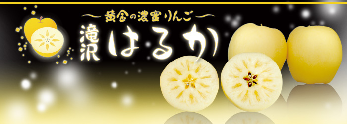 黄金の濃蜜りんご 滝沢はるか