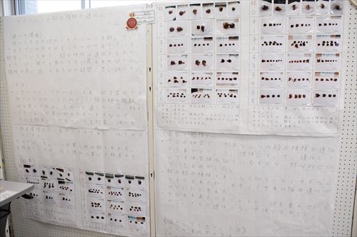 様々な工作や自由研究の作品8