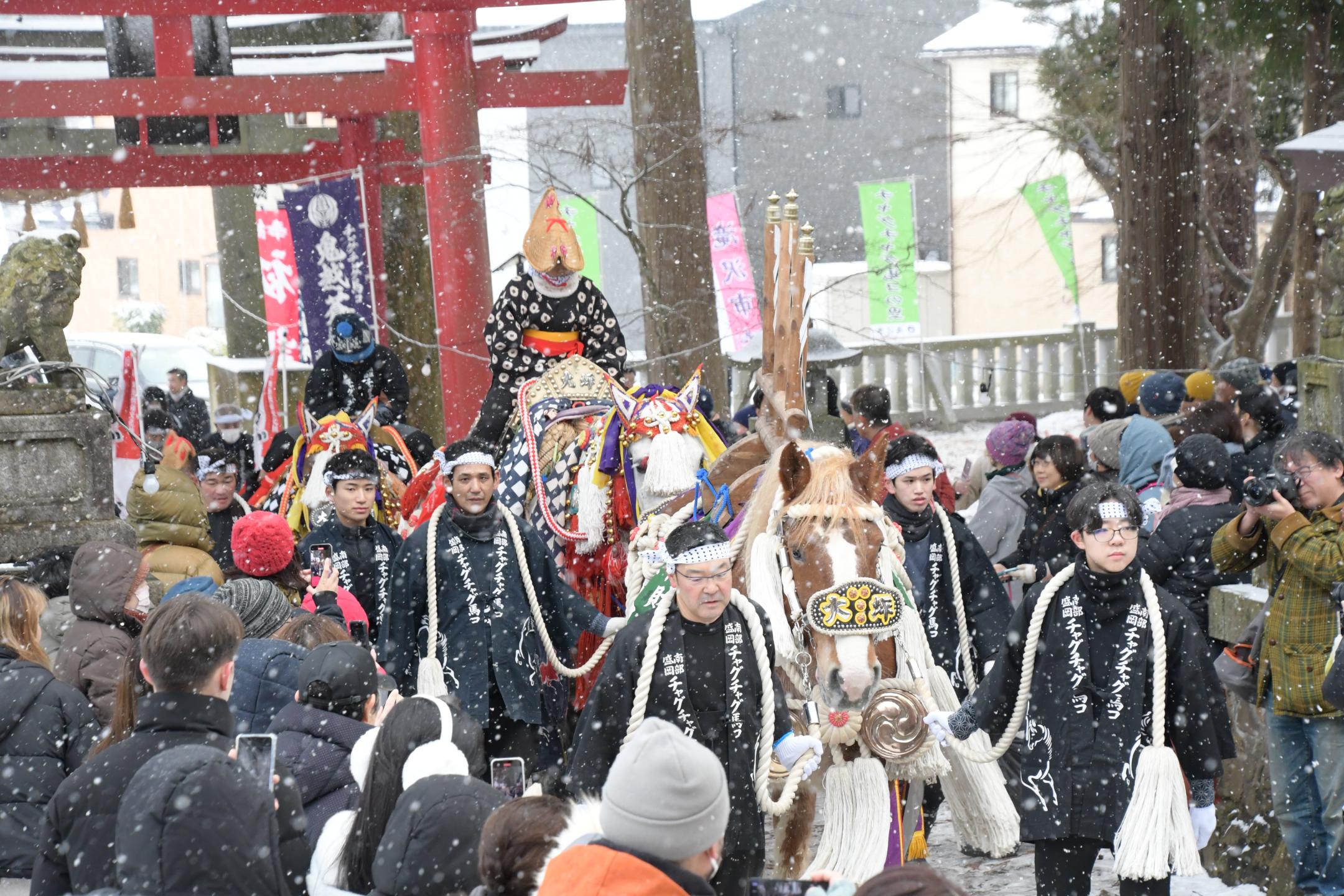 粉雪が舞う馬コ初詣～馬コと共に無病息災願うのカバー写真