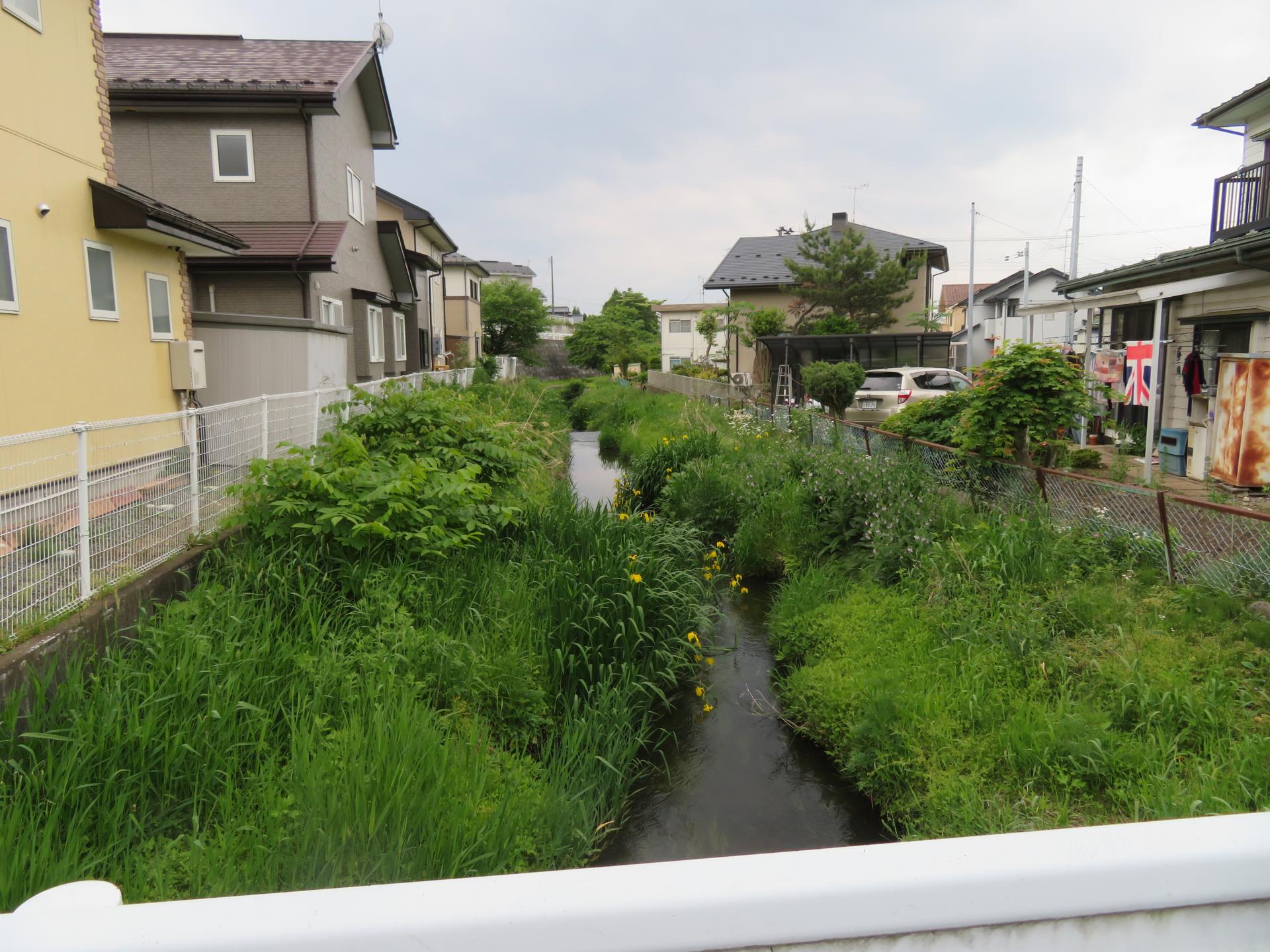 令和6年度普通河川巣子川着工前