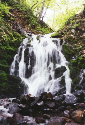 滝の沢 滝の沢