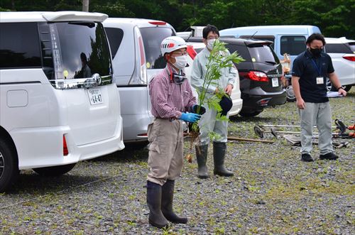 オオハンゴンソウ駆除活動の様子