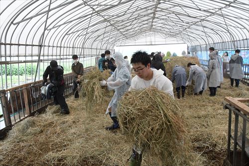 農業体験学習の様子
