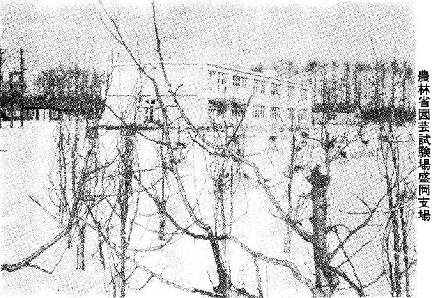 農林省園芸試験場盛岡支場