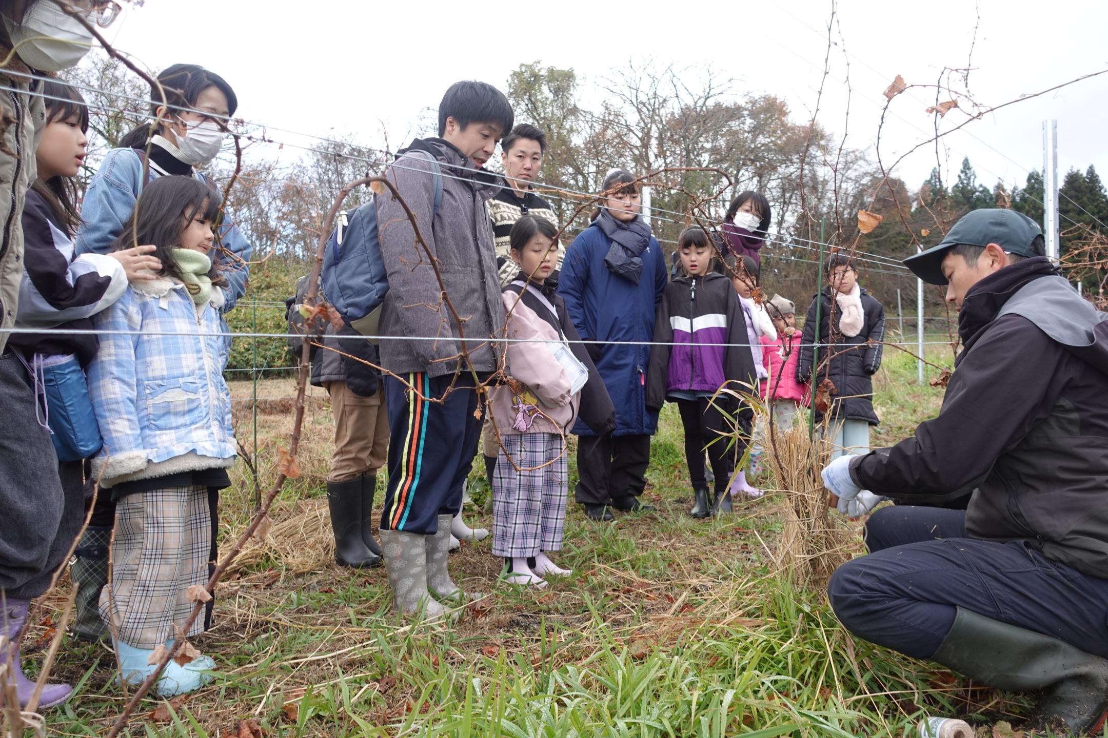 山田さんにわら巻きの仕方を教わる皆さん