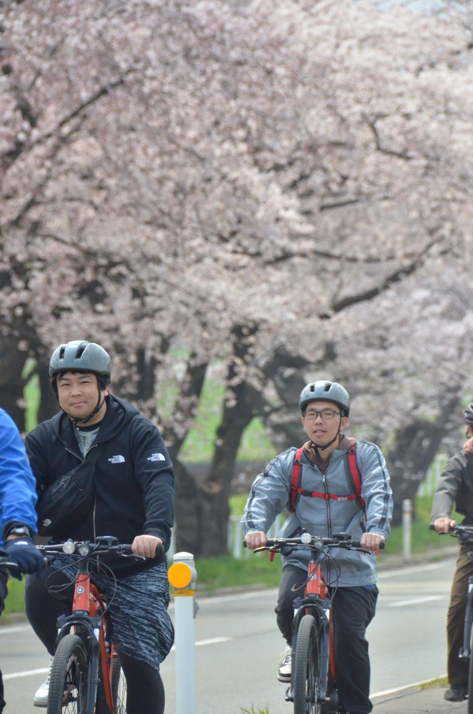 小岩井農場前の桜並木を走行する参加者たち③