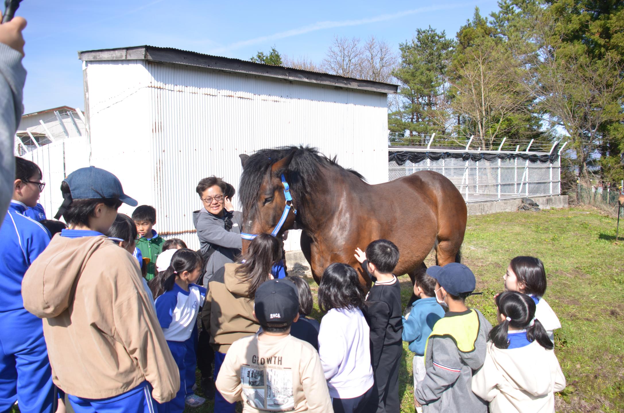 馬と触れ合う子供たち