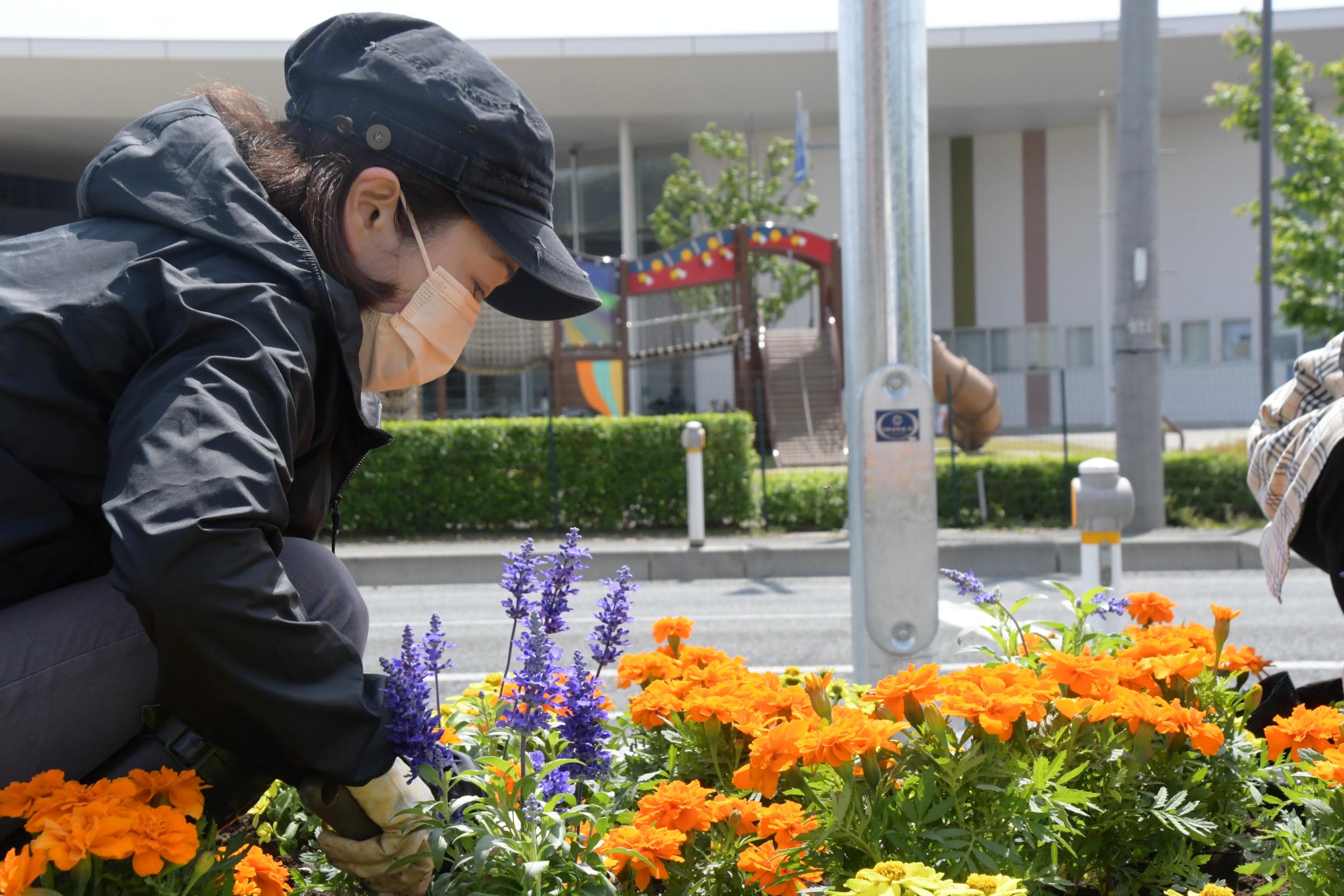 植栽をする参加者③