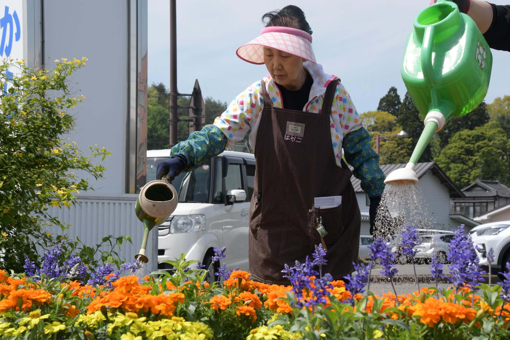 植えた花に水やりをする参加者