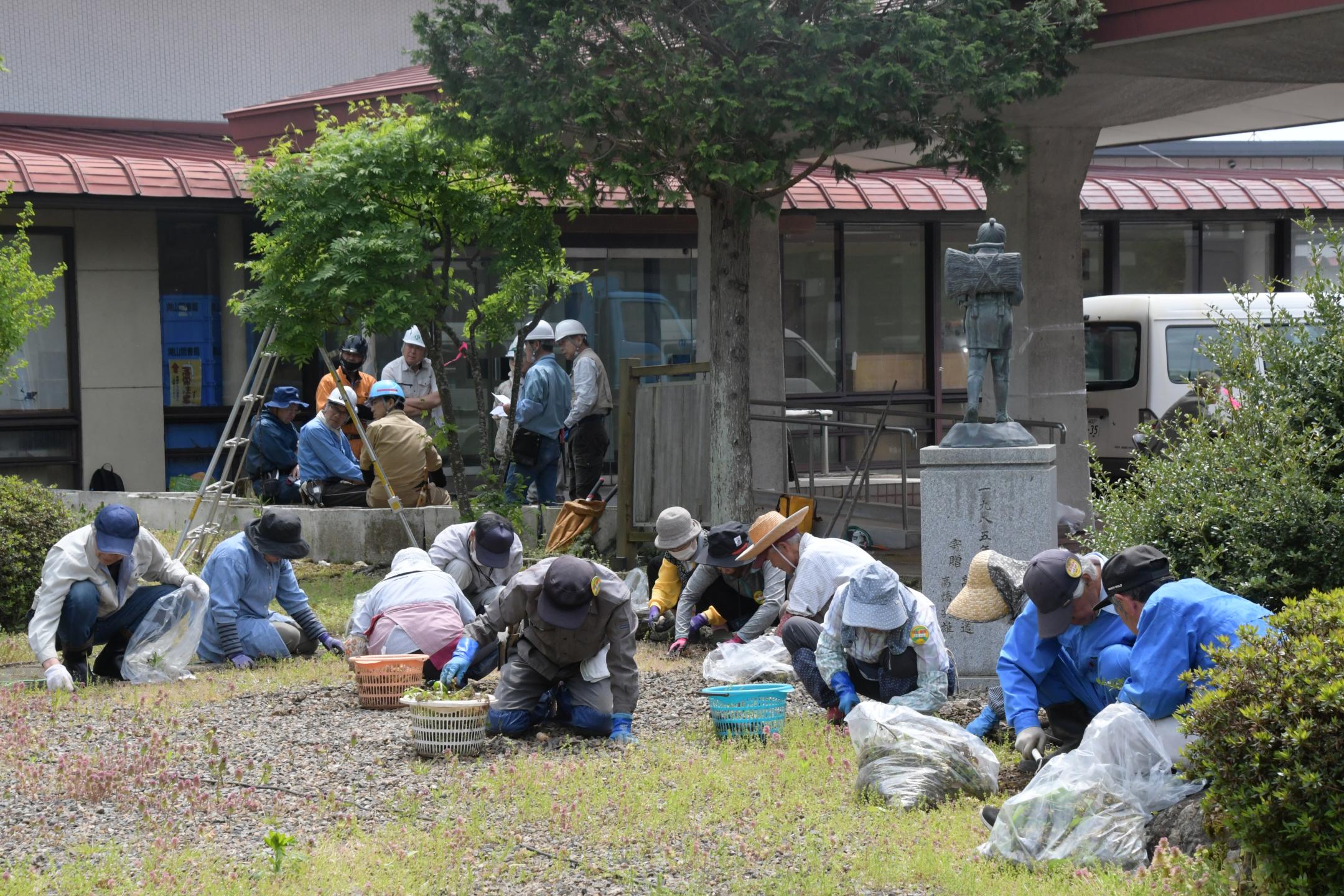 草取りをする参加者