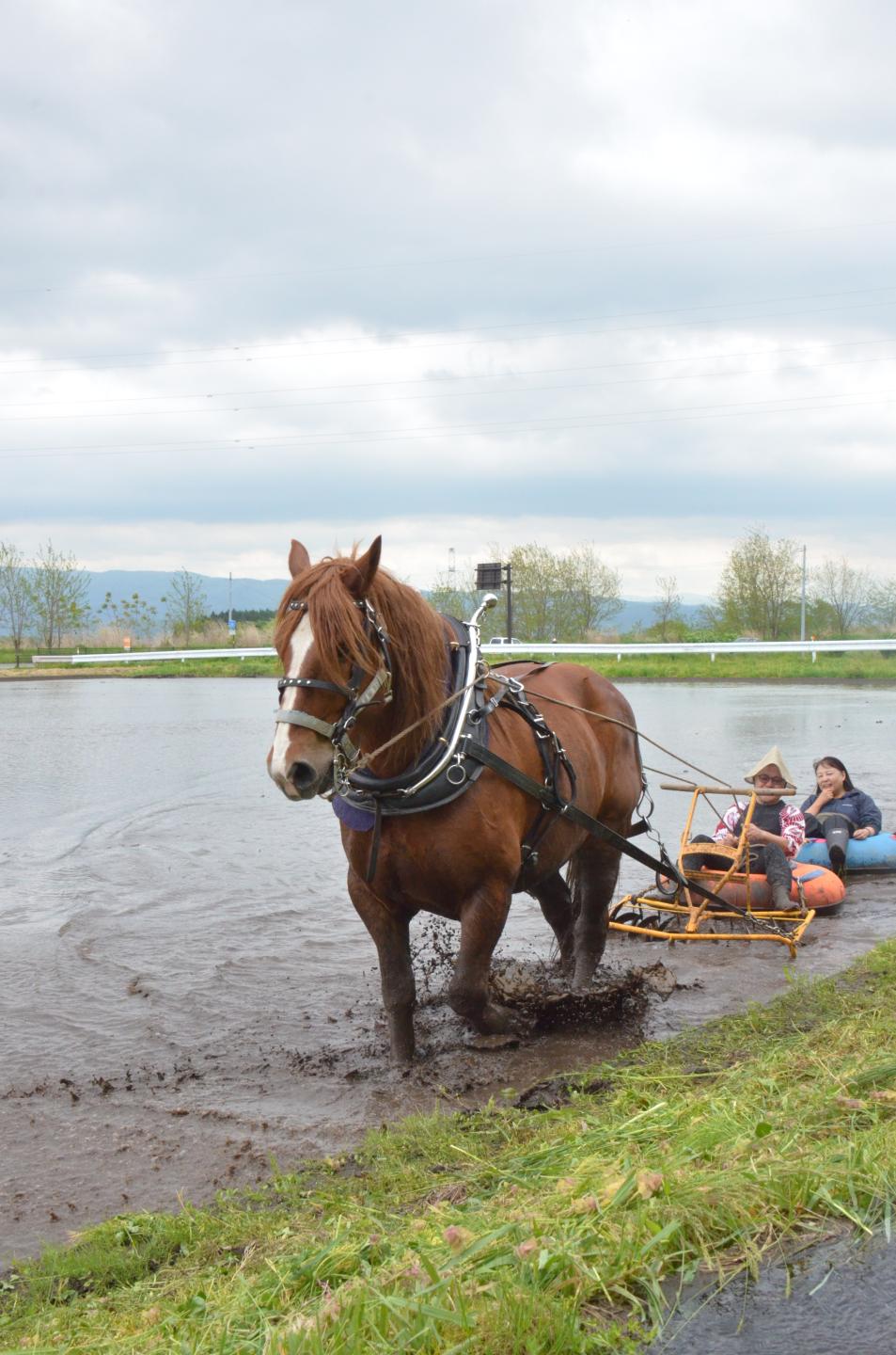 泥チューブ体験をする参加者