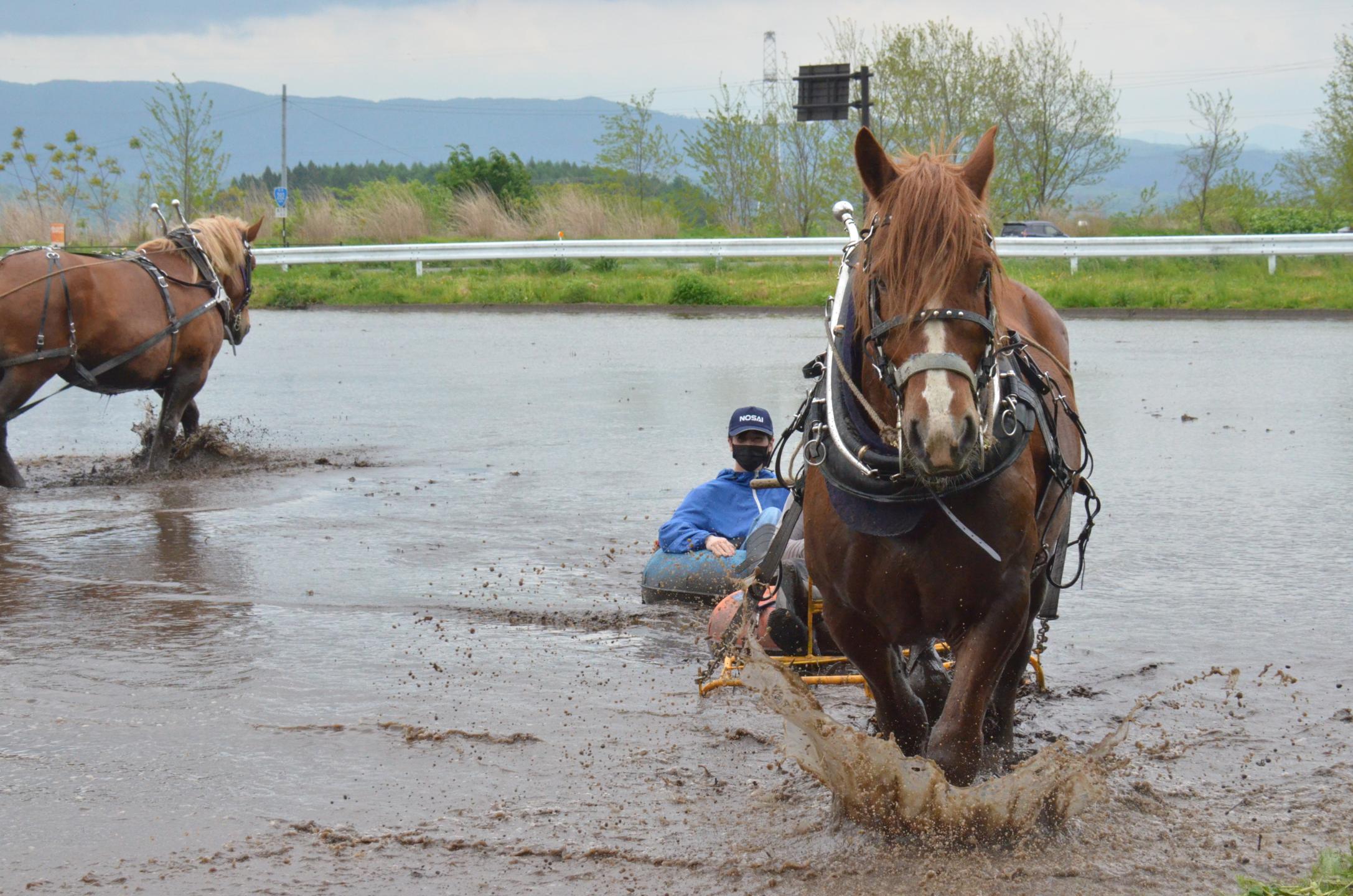 泥チューブ体験をする参加者