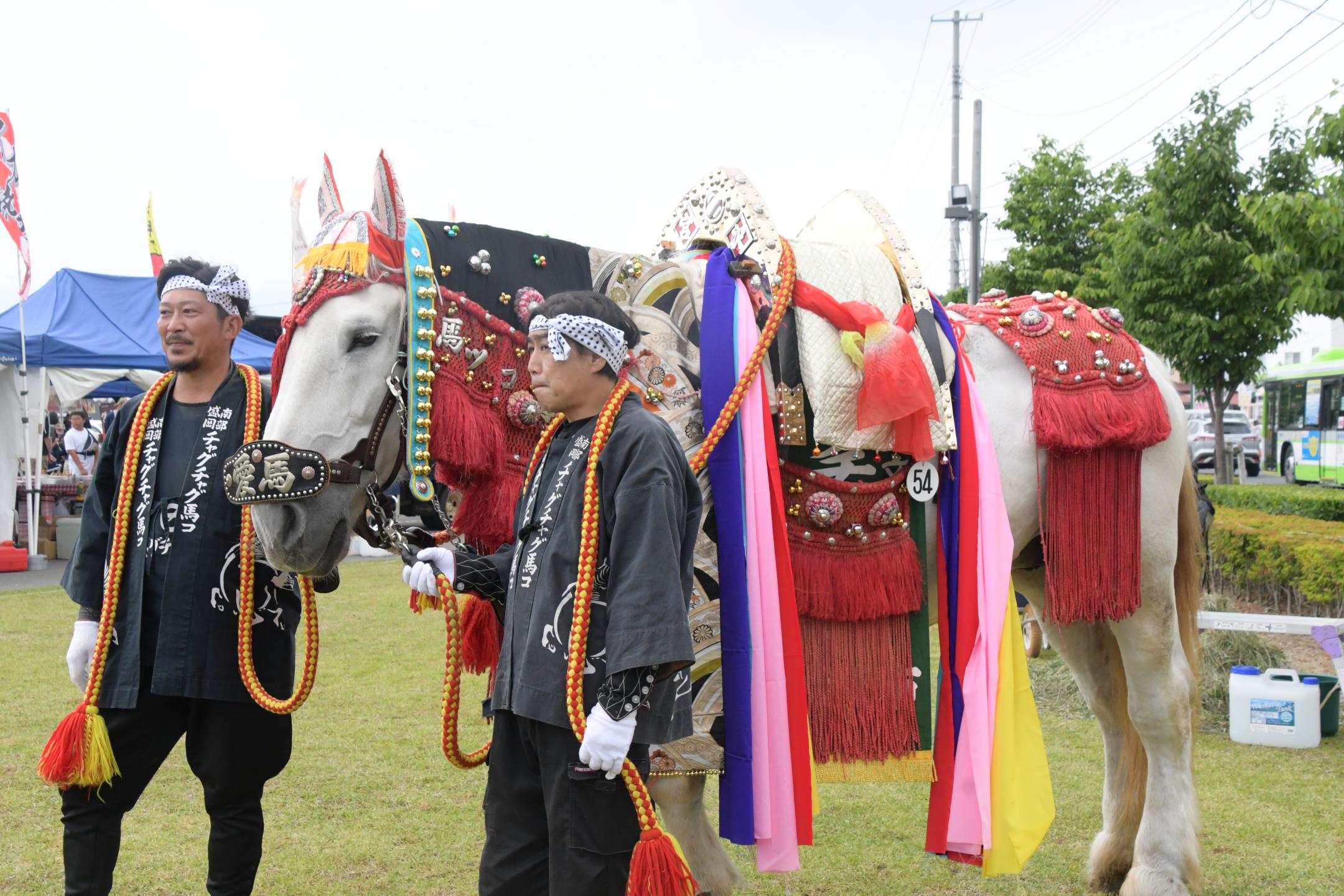 ふれあいまつりで係留されていた馬コ