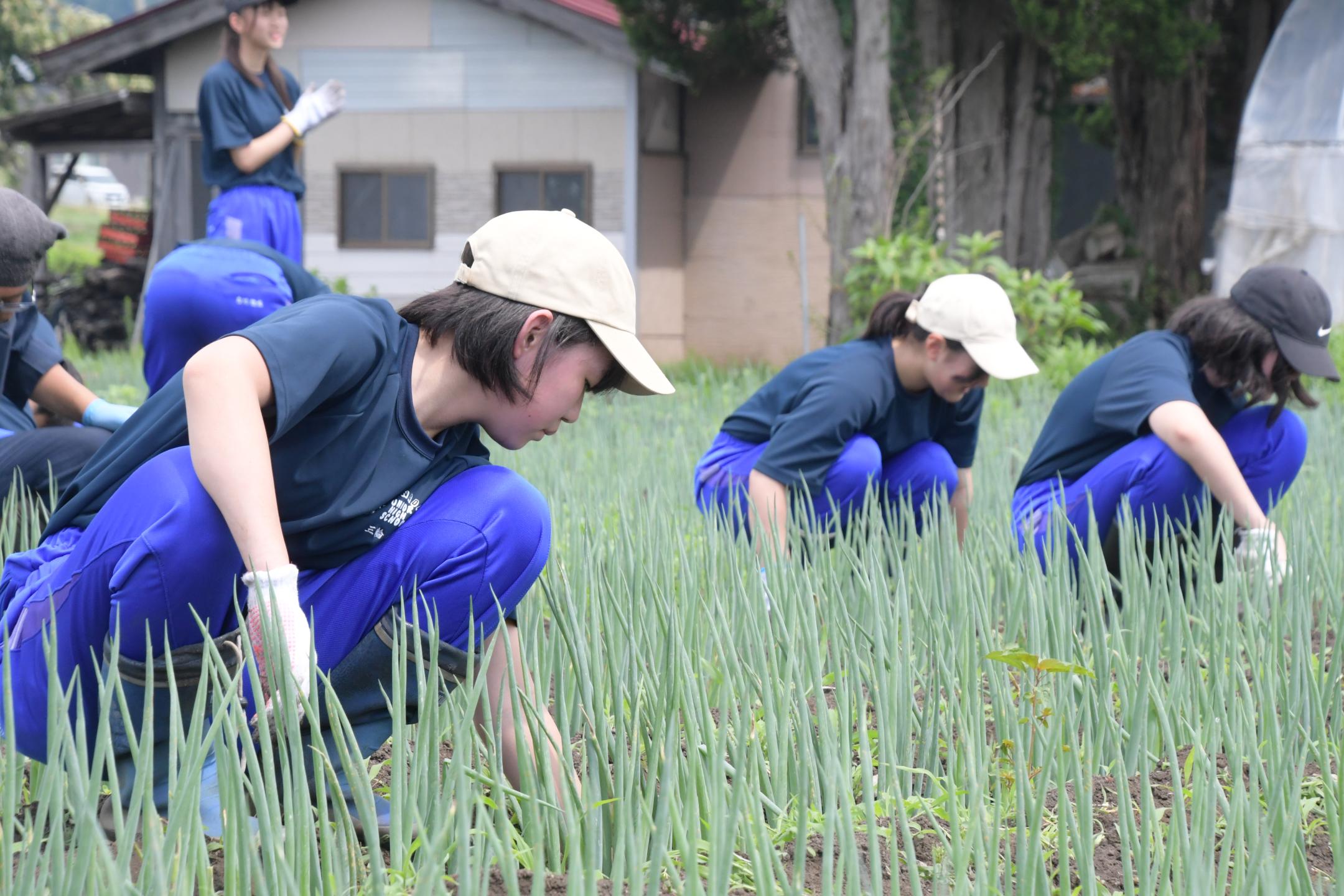 滝沢第二中が農業体験～食への感謝を忘れずにのカバー写真
