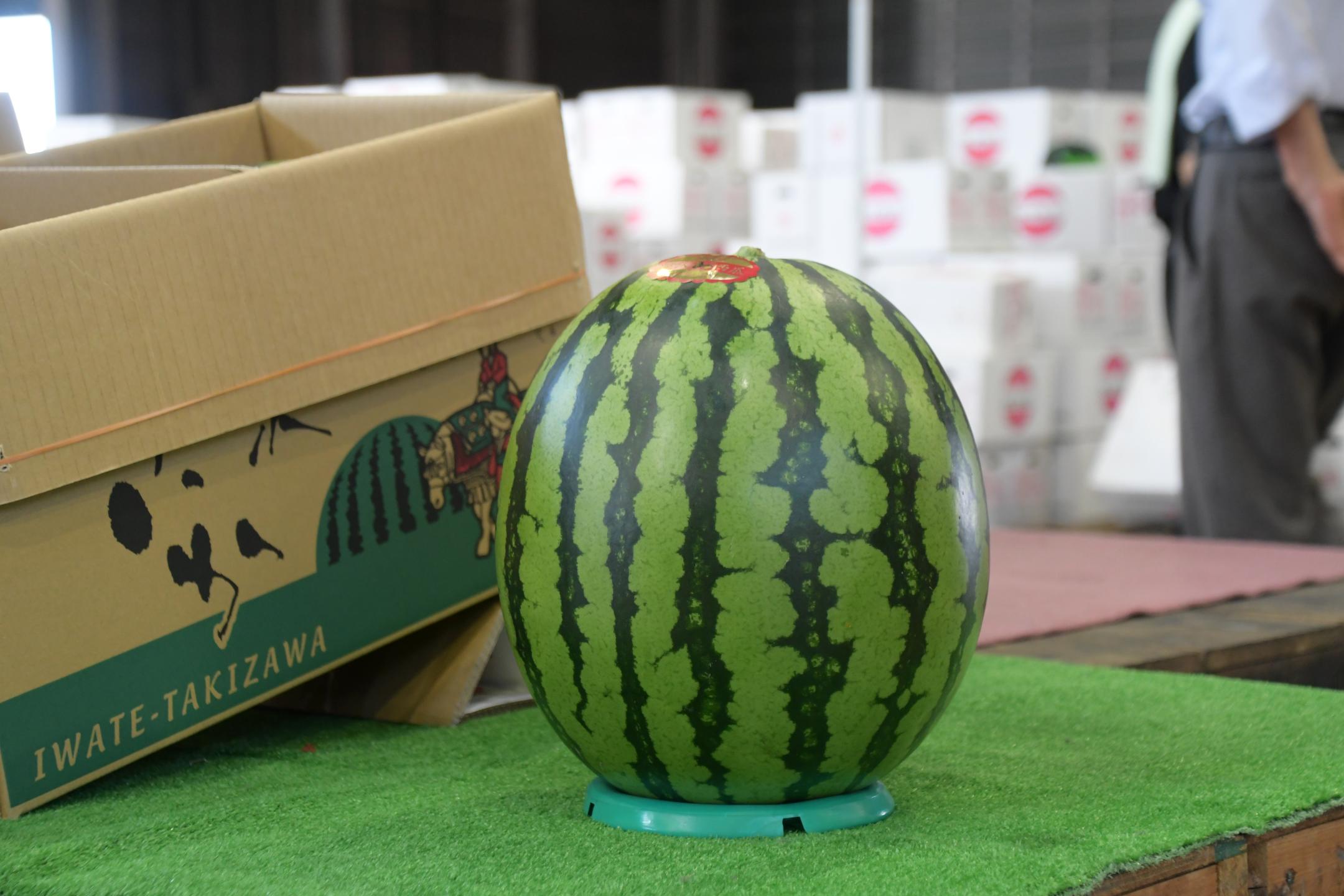 大玉の滝沢スイカ