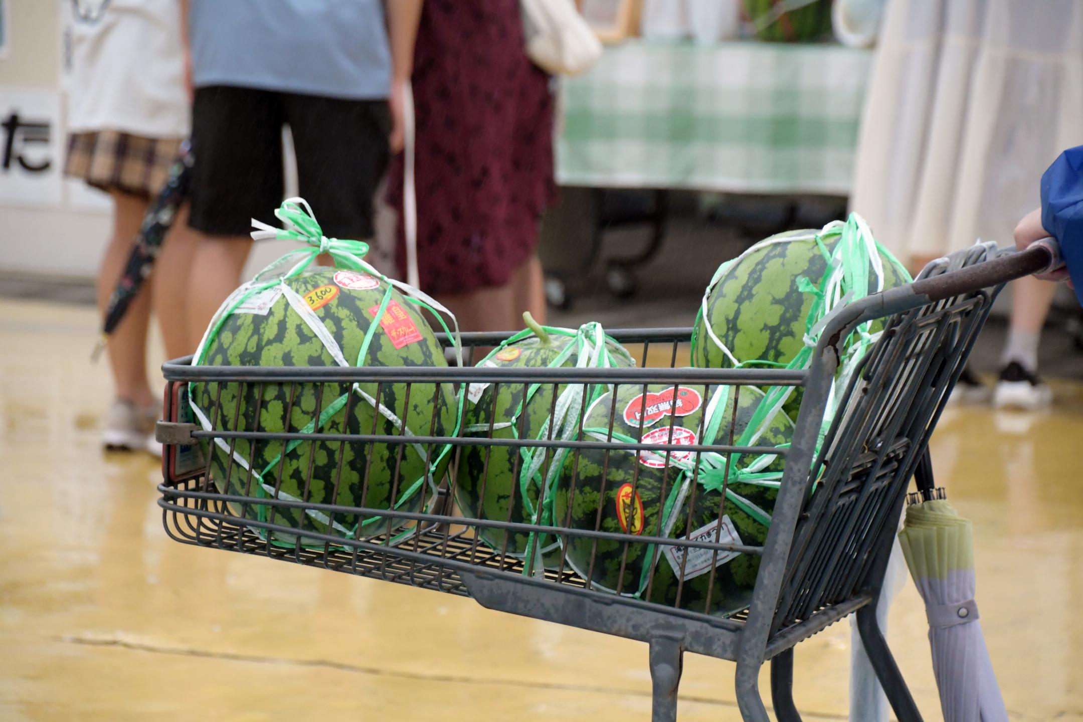 来場者の買い物カートに積まれた滝沢スイカ