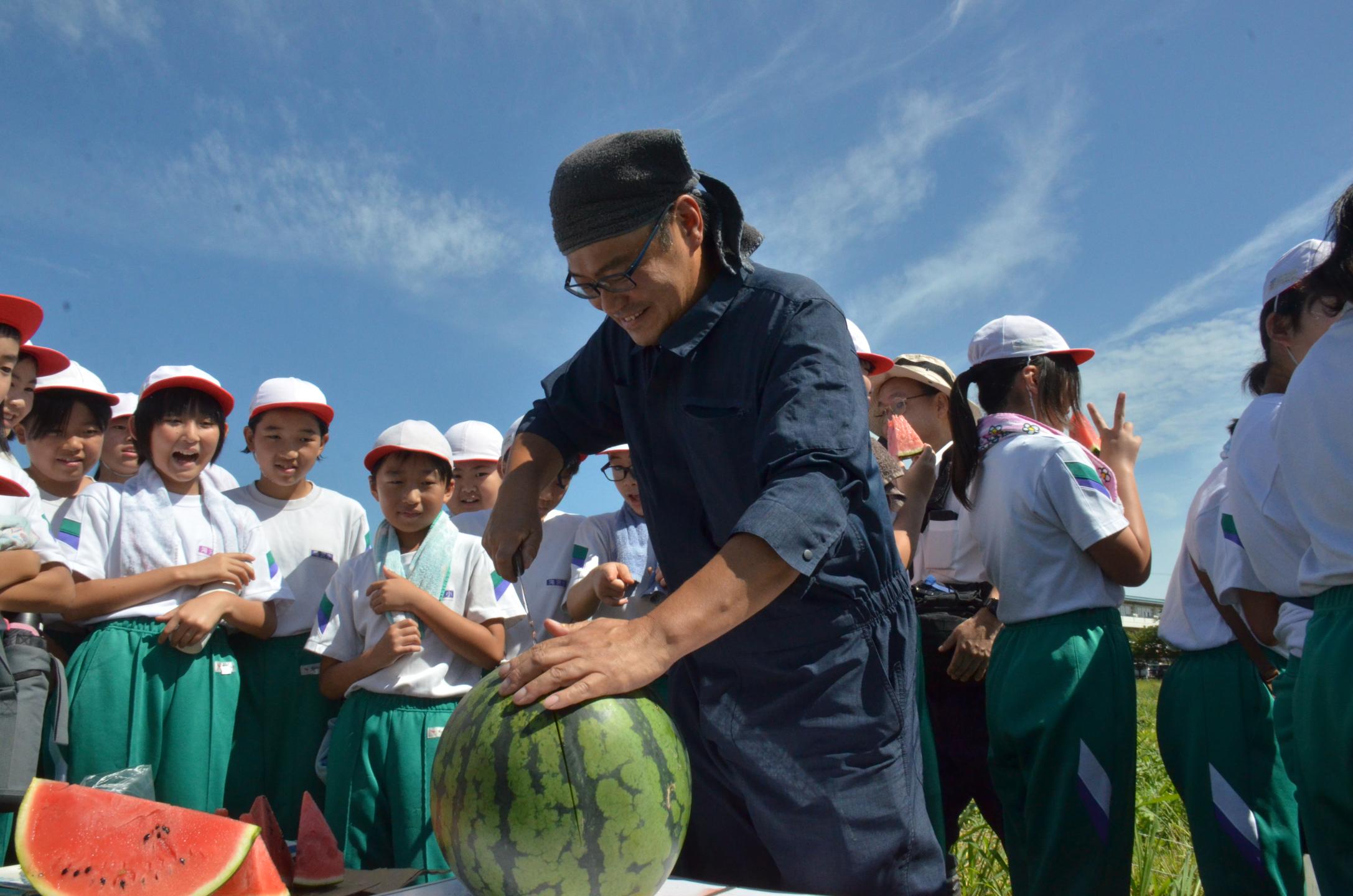 収穫したスイカを切る駿河さん