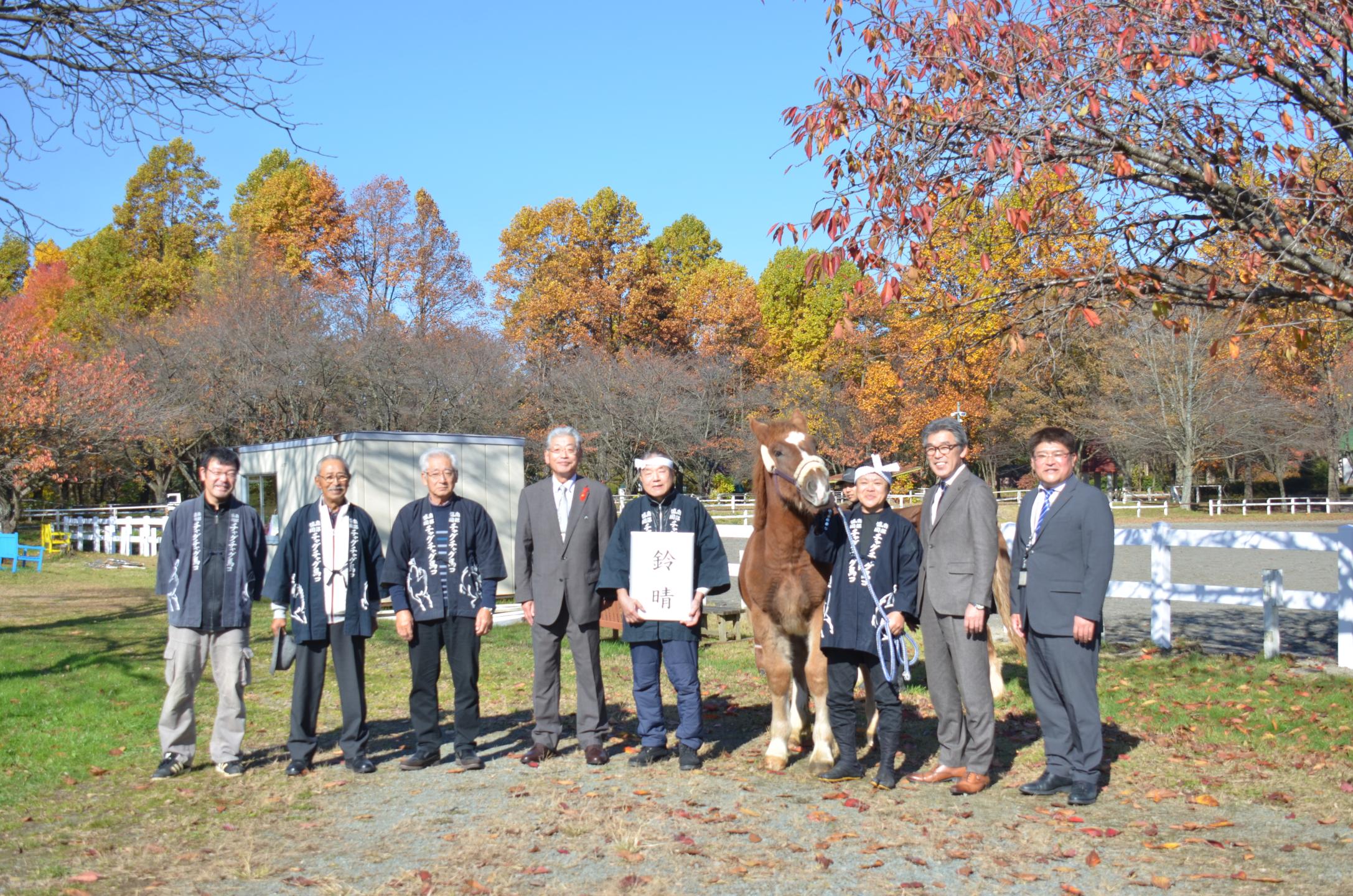 市有馬を無償譲渡～馬事文化の継承に期待のカバー写真
