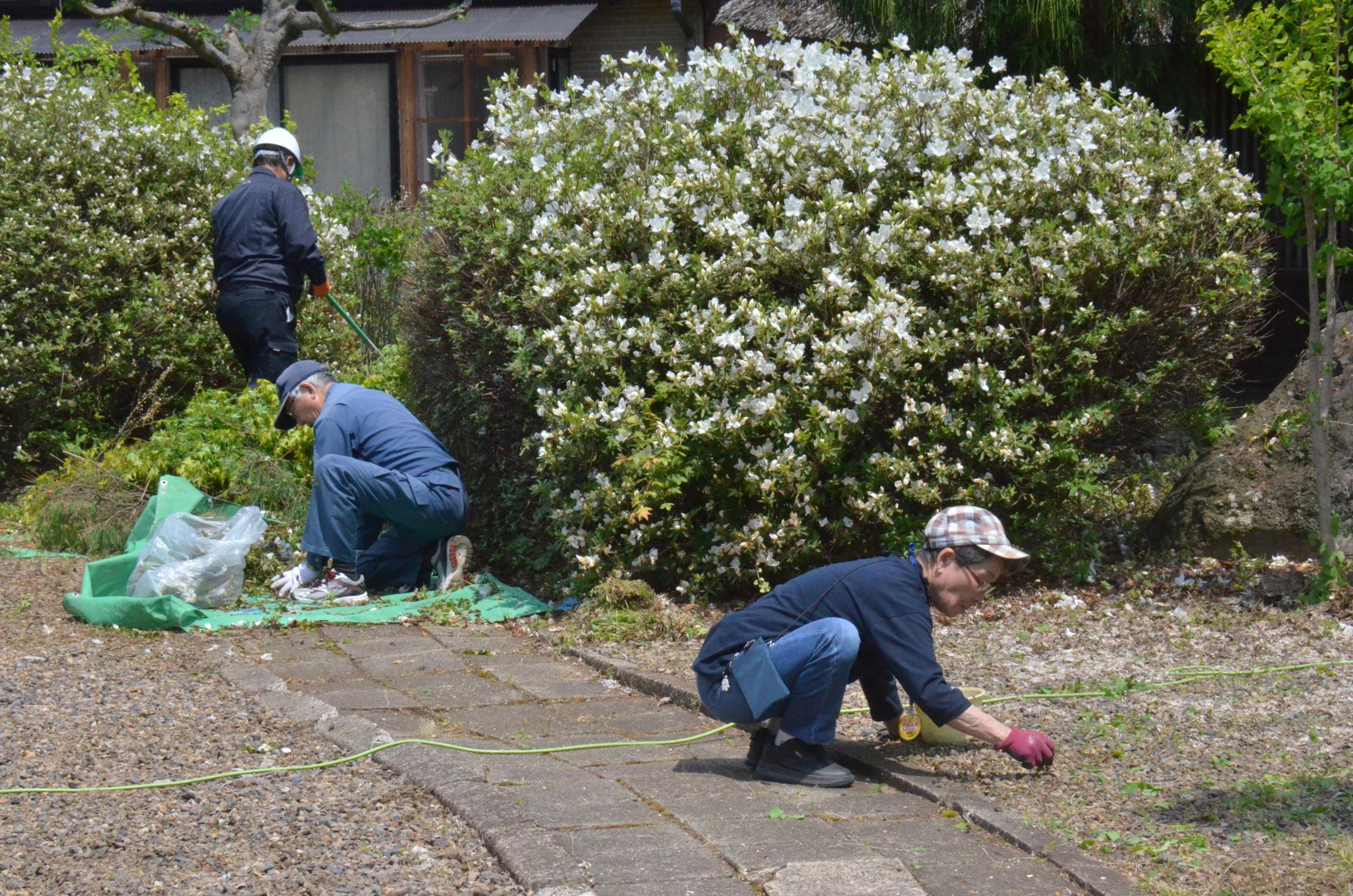 草取り作業によりきれいになった上田邸の周り