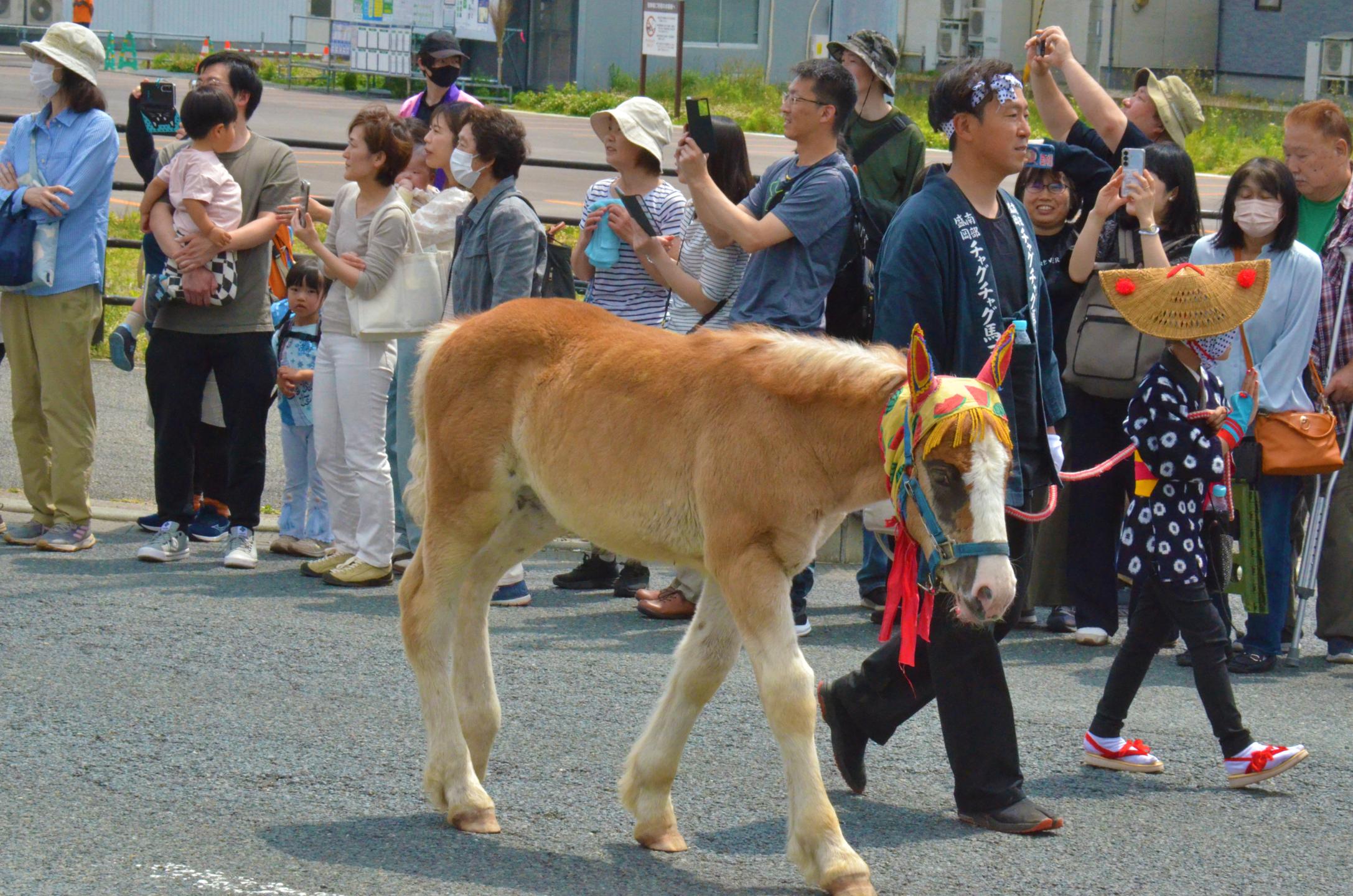 一緒に行進する仔馬