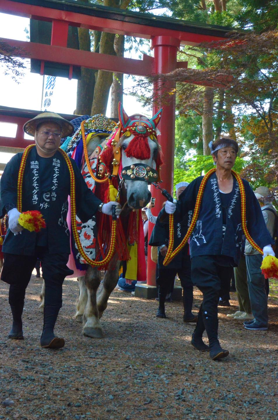 鳥居をくぐり神社に集まる馬コ