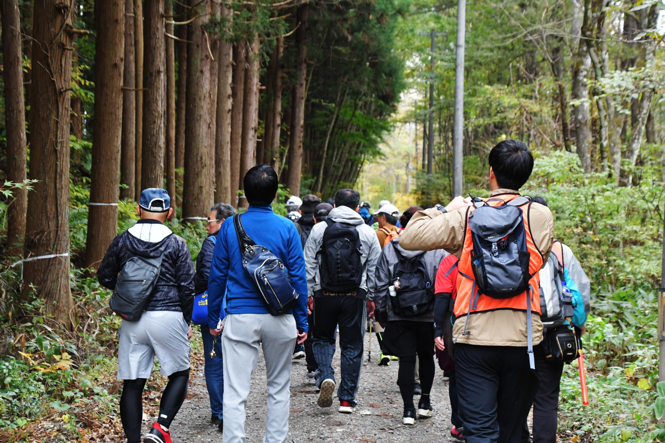 農場へ続く道を歩く参加者