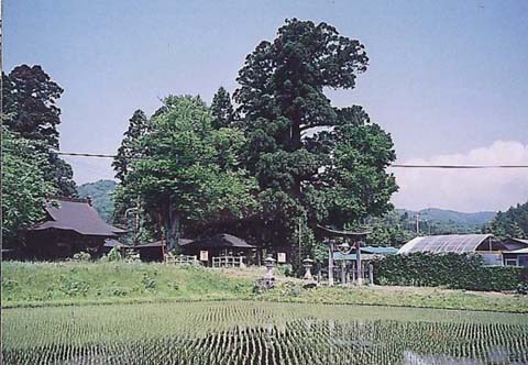 （写真）田村神社全景